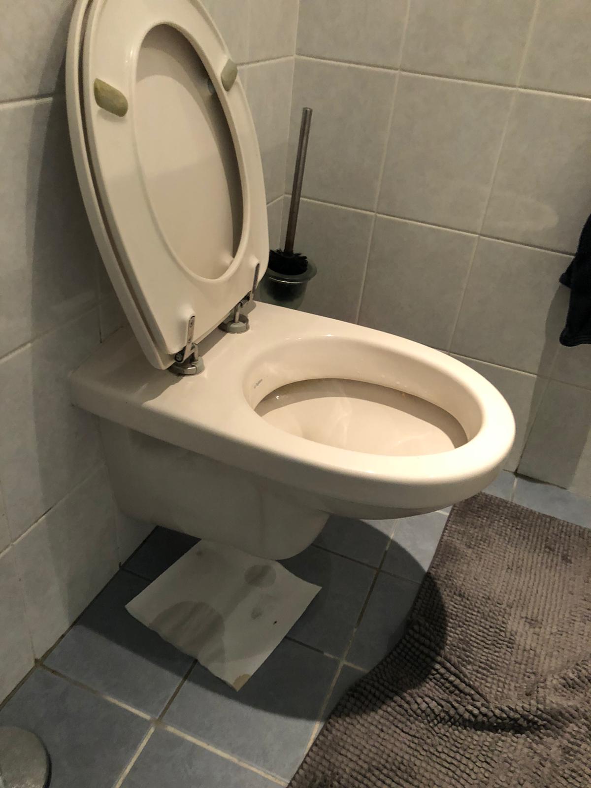 hangtoilet Dronten